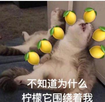 DƬ